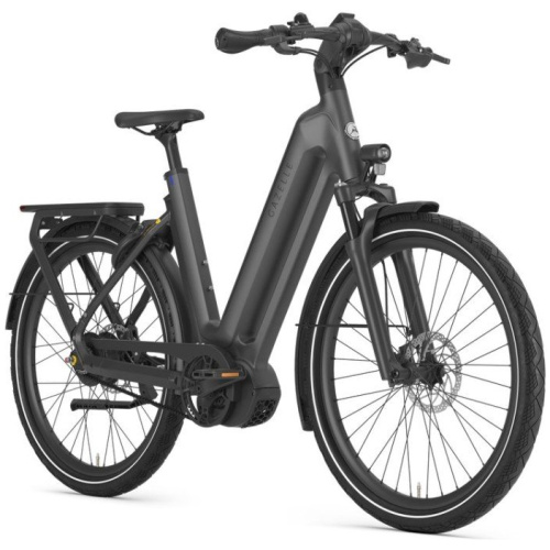 Gazelle Eclipse C380 HMB Anthracite Grey Mat DAMES 2024