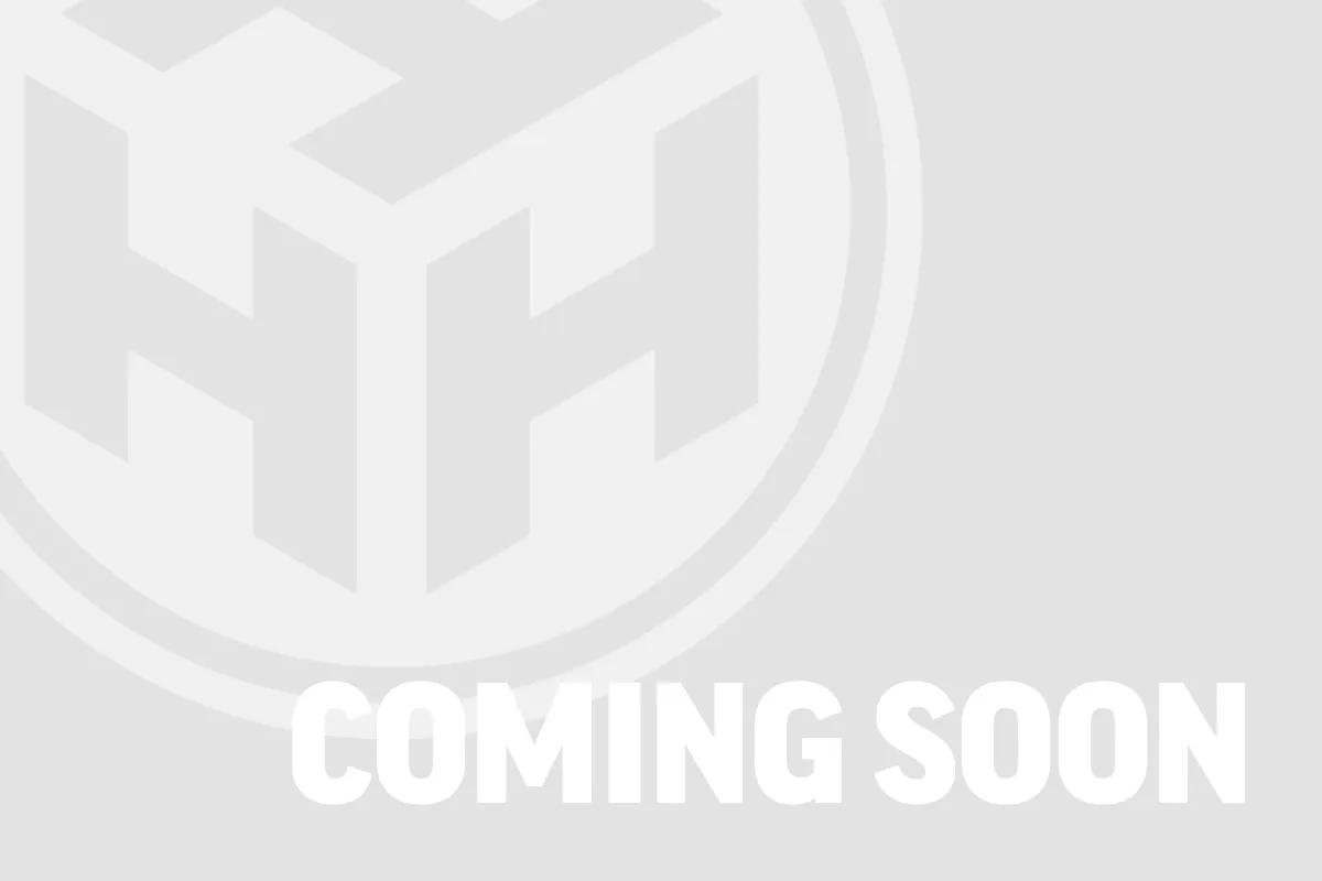 Uebler Fietsendrager i21 (60° kantelbaar)