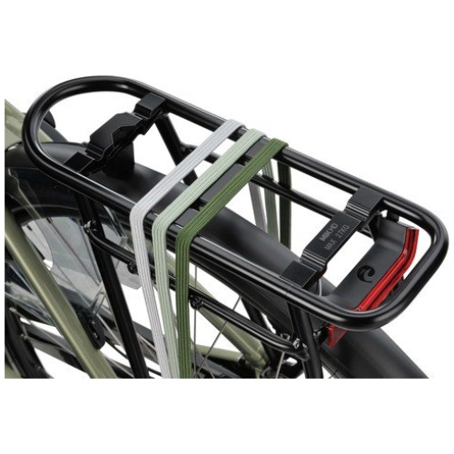 Batavus Senz Comfort Groengrijs Dames 2025