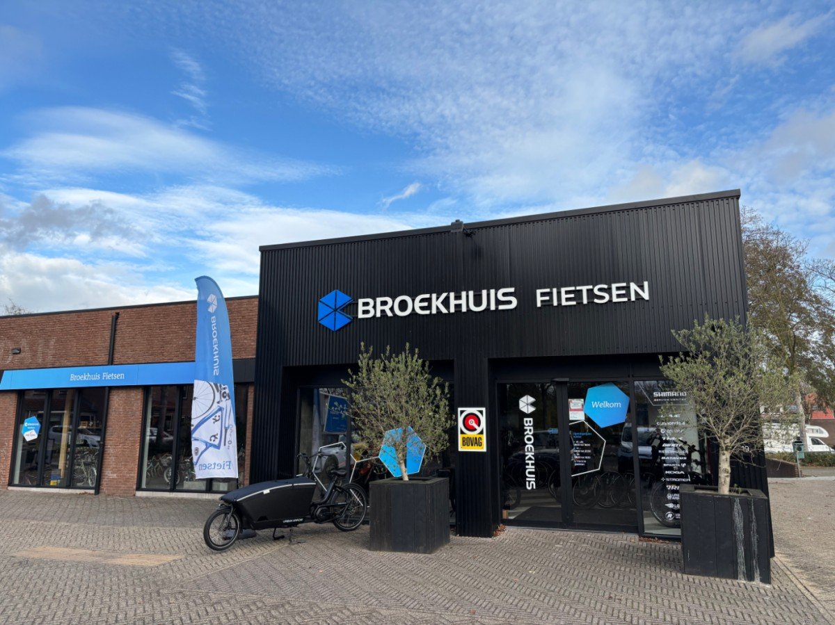 Riese & Muller Swing 3 * | 500Wh. | - RIJKLAAR! - Black Dames 2022 - Afbeelding 6