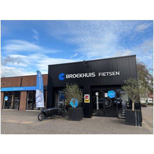 Gazelle ORANGE extra Grijs Blauw Lage instap 2014