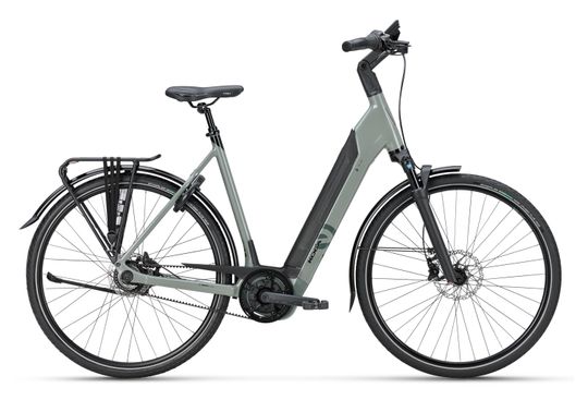Koga EVIA PT DS Saga Green Gloss Dames 2026