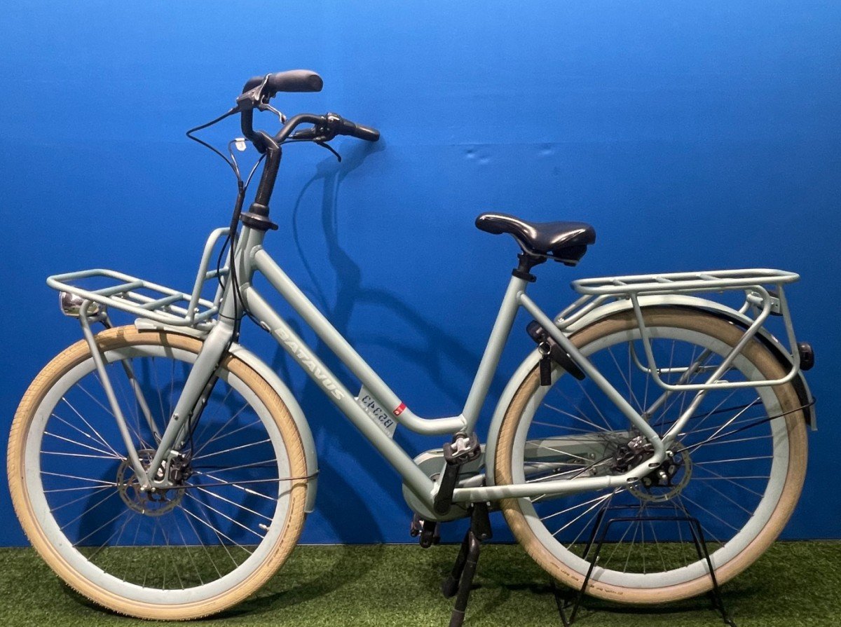 Batavus Quip Extra Cargo Groen Mat Dames 2020 - Afbeelding 3