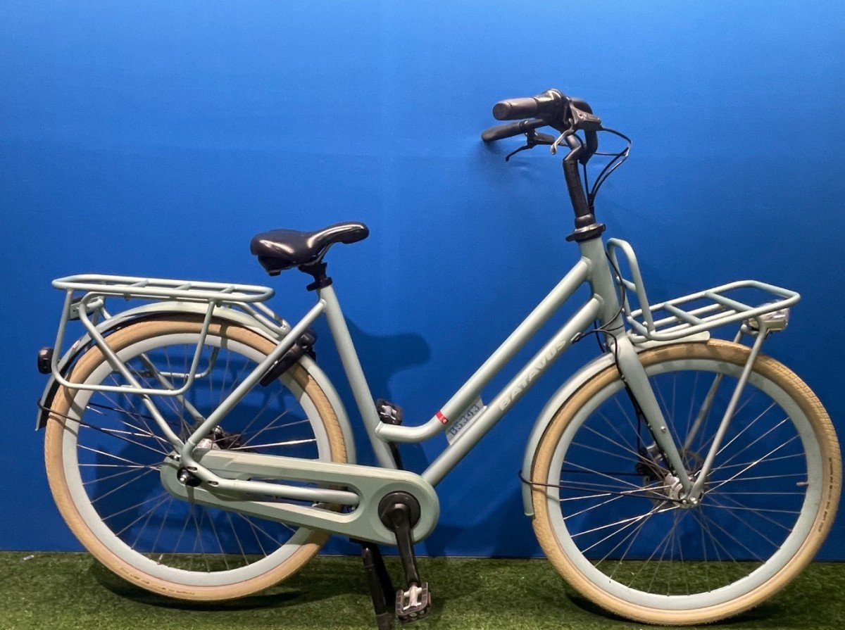 Batavus Quip Extra Cargo Groen Mat Dames 2020